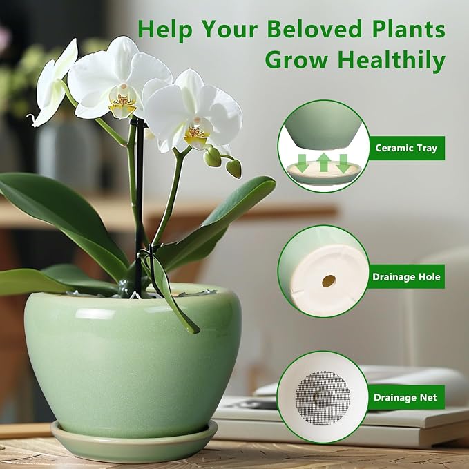 6 Inch Plant Pot - Image 5