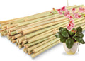 50Pcs / 18 inch Bamboo Plant Stakes by Avalution