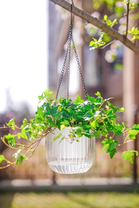 Melphoe 2 Pack Self Watering Hanging Planters Indoor Flower Pots, 6.5 Inch - Image 4