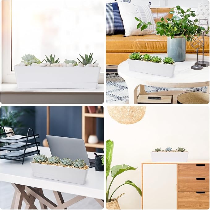 GREANER Window Boxes Planters, Indoor Succulent Cactus Flowers Vegetable - Image 6