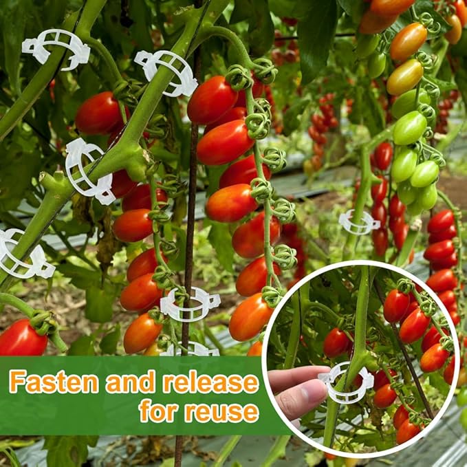 200 Pcs Plant Support Garden Clips, Tomato Clips, Crop Clips - Image 7