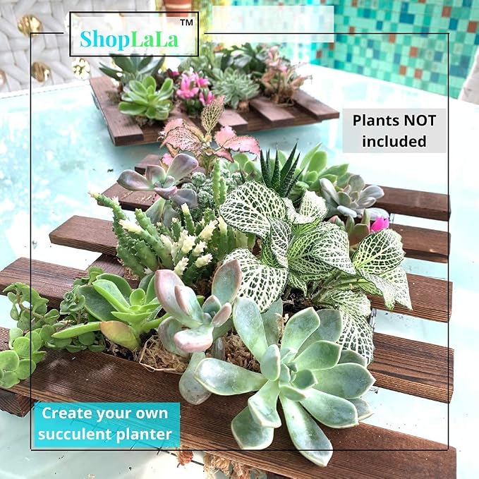 ShopLaLa Wall Planter - Image 3