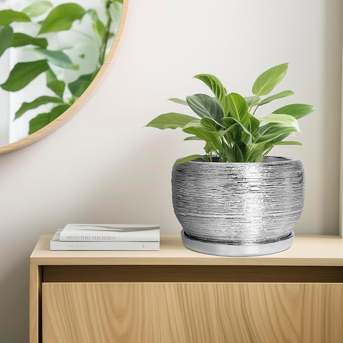 SQOWL Ceramic Pot for Plants - Image 7