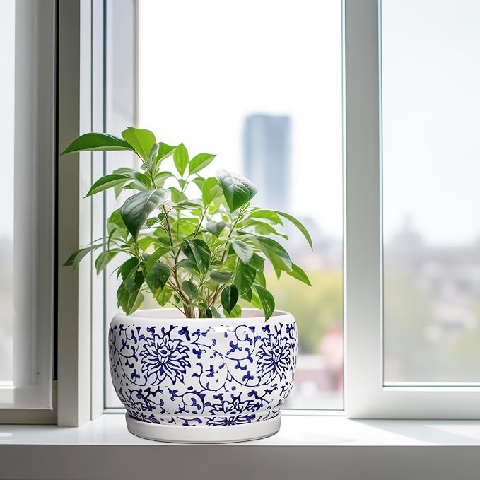 SQOWL Ceramic Pots for Plants - Image 4