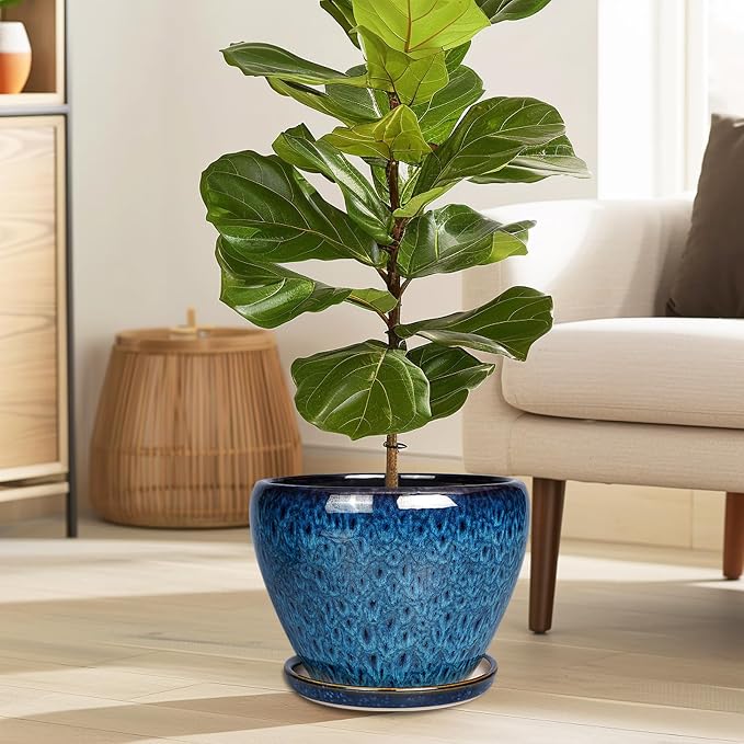 10 Inch Ceramic Planter Pot, Ceramic Plant Pot - Image 2