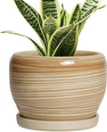 SQOWL Ceramic Pot for Plants by SQOWL