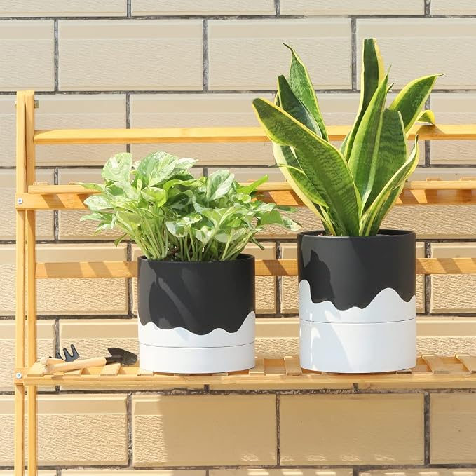 Nihow Ceramic Plant Pot: 6 Inch Planter - Image 4