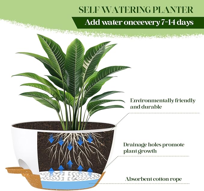 2 Pack 10 Inch Self Watering Hanging Planters - Image 6
