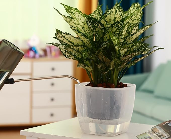 12-Pack Clear Self Watering Planters - Image 8