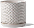 5.8 Inch Plant Pot: Ceramic Planter by Chubacoo