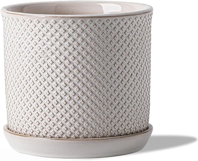 5.8 Inch Plant Pot: Ceramic Planter by Chubacoo