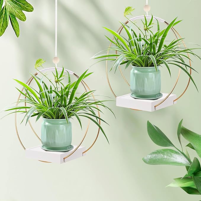 2 Pack Hanging Planter Holder for Indoor Plants, Plant Hanger - Image 6