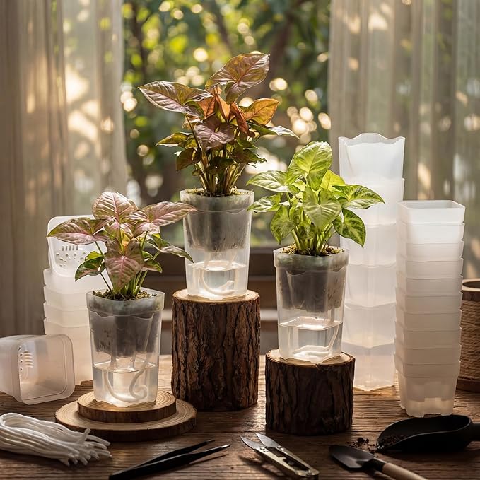 LemonRoad 20 Pack 2" Small Self Watering Pots - Image 2