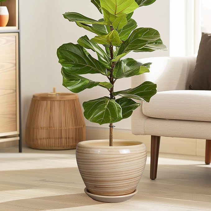 Planter 8 Inch - Indoor/Outdoor Ceramic Plant Pot - Image 2