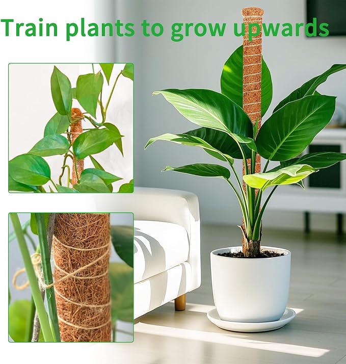 2 Pack 28 Inch Moss Pole Monstera Plant Support, Coir Moss Poles - Image 7