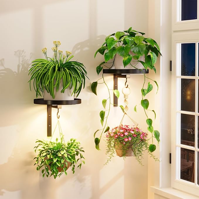 iDavosic.ly Wall Plant Holder by iDavosicly