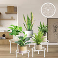 5-piece set of metal plant potted flower racks, heavy-duty flower pot plant by mekpiwu