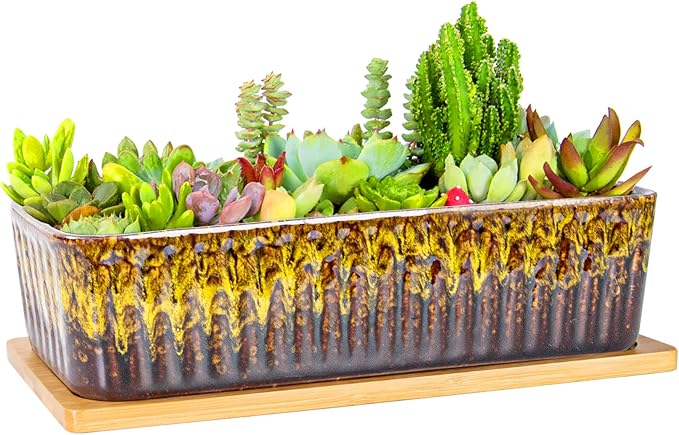 Succulent Pots - 12 Inch Large Succulent Planters by ARTKETTY