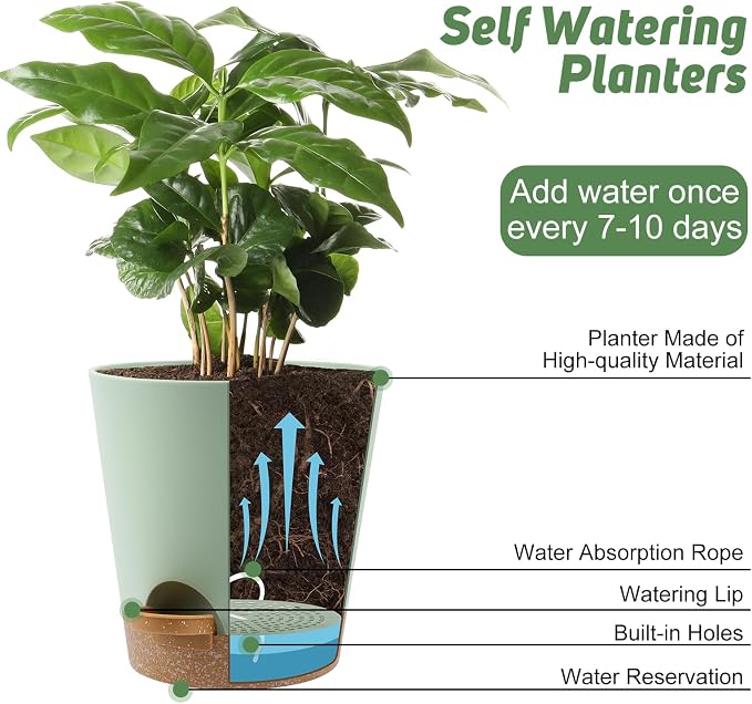 8-Inch Plant Pots, Self-Watering Planters - Image 5