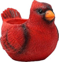 Spoontiques Cardinal Flower Pot, Home Décor, Tabletop Decoration, Vase Window by Spoontiques