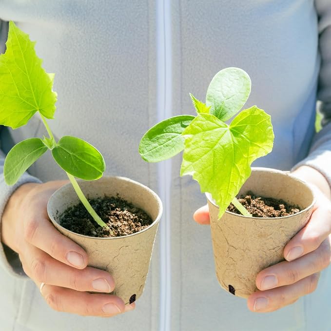 Dalzom® 60Pcs 4” Peat Pots - Image 7