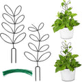 AUGSUN 2 Packs Indoor Plant Trellis Garden Trellis by AUGSUN