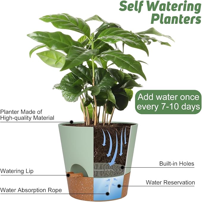 10-Inch Plant Pots, Self-Watering Planters - Image 5