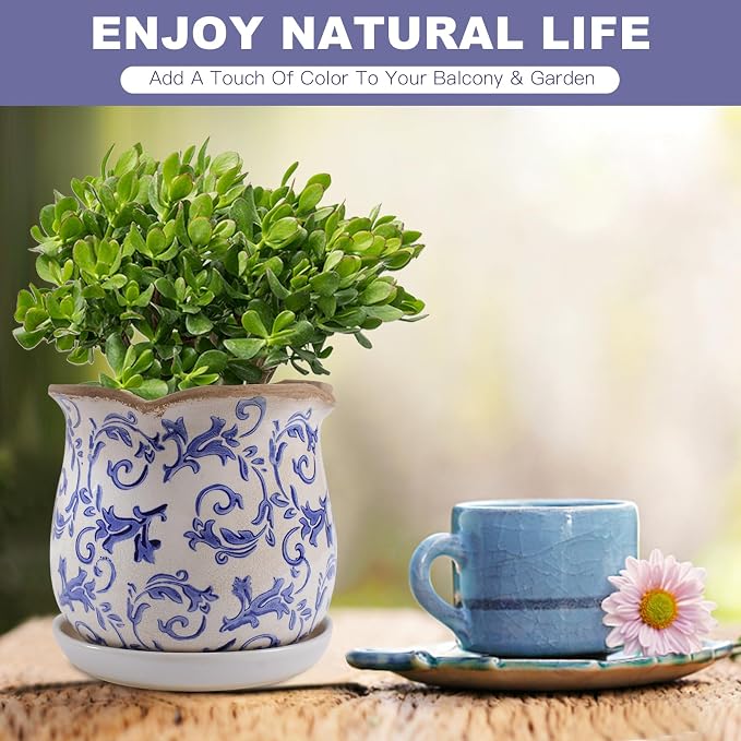 Ceramic-Planters-for-Indoor-Plants - Image 2