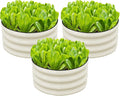 SnugNiture 3 Pcs 2x2x1ft Round Galvanized Raised Garden Bed Kit Outdoor by snugniture