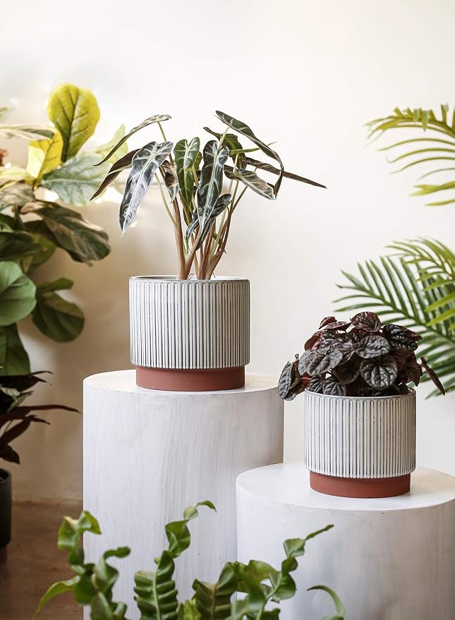 LE TAUCI Ceramic Pots for Plants, 8+6.7+5.5 Inch Plant Pots Indoor, Flower Pot - Image 3