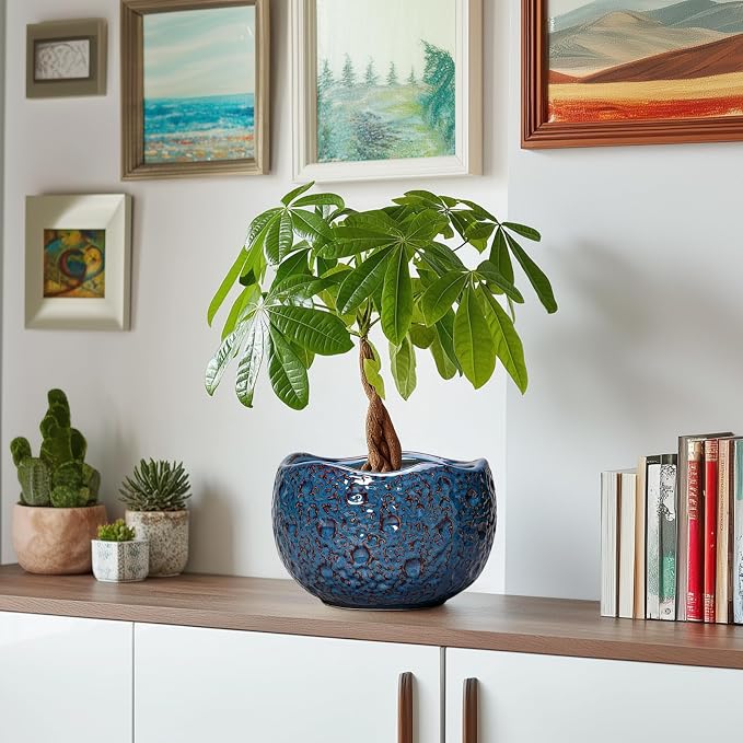 8 Inch Plant Pot - Image 6