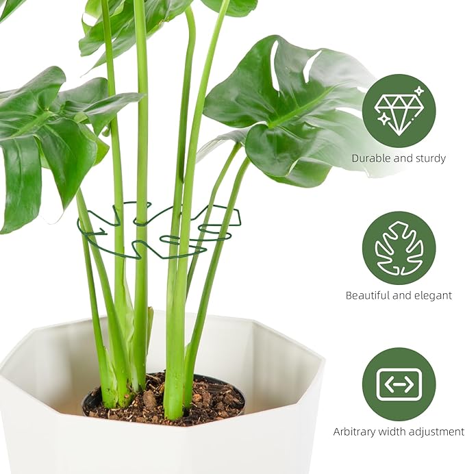 10PCS Iron Monstera Plant Support, Uniquely Designed Indoor Plant Accessories - Image 4
