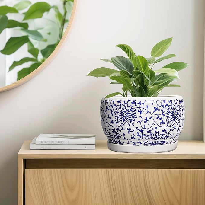 SQOWL Ceramic Pots for Plants - Image 7