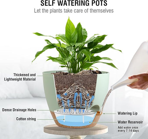 10 inch Self Watering Hanging Planters - Image 2
