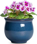 African Violet Pots, 6 Inch Ceramic Easy Self Watering Pots by Teagas