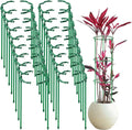 36 Pack Plant Support Stakes Sets by Unknown