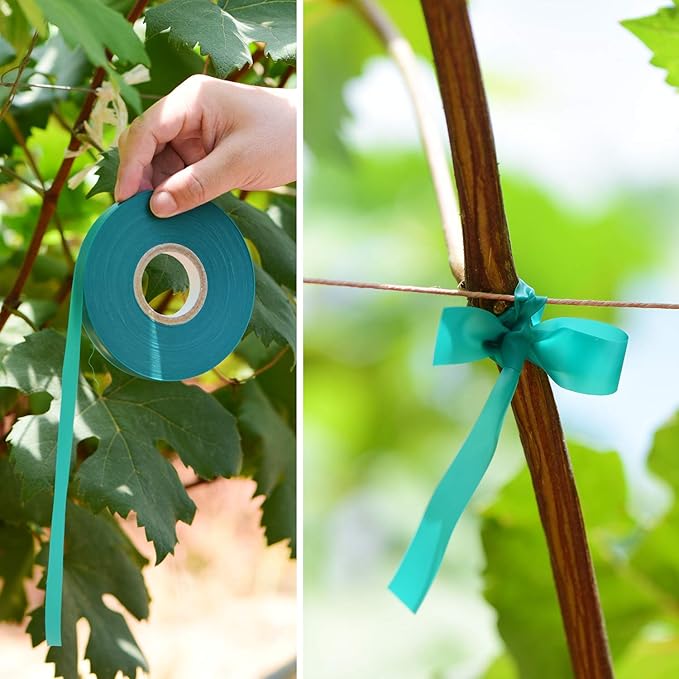 2 Pcs 150 Feet x 1/2" Wide Stretch Tie Tape Green Plant Garden Tie, Garden - Image 6