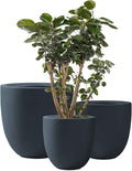 Kante 20", 13.4" Dia Round Concrete Planters, Outdoor Indoor Modern Decorative by Kante