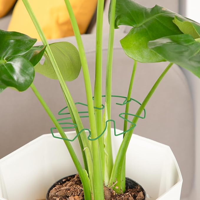 10PCS Iron Monstera Plant Support, Uniquely Designed Indoor Plant Accessories - Image 6