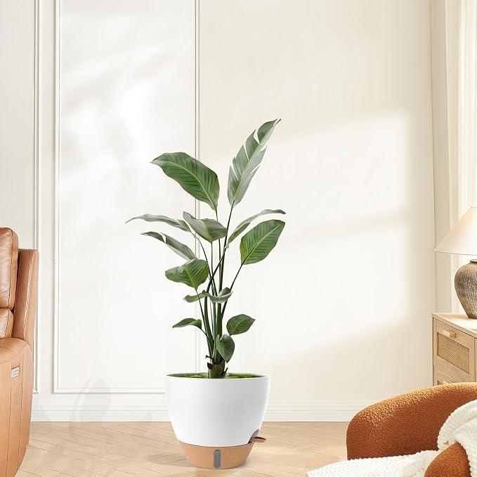 Plant Pots, 12/10/9/8/ Inch Large Plastic Self Watering Flower Pots Indoor - Image 7