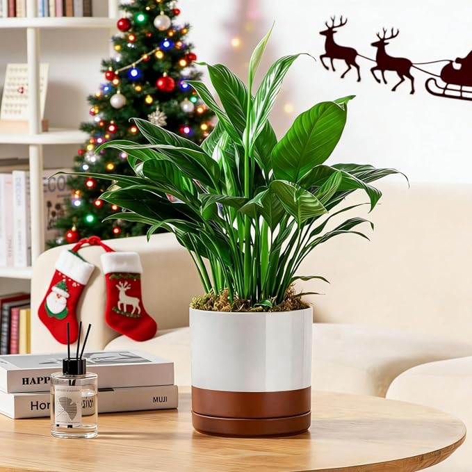 vancasso Ceramic Plant Pots, 3 Piece Planters - Image 7