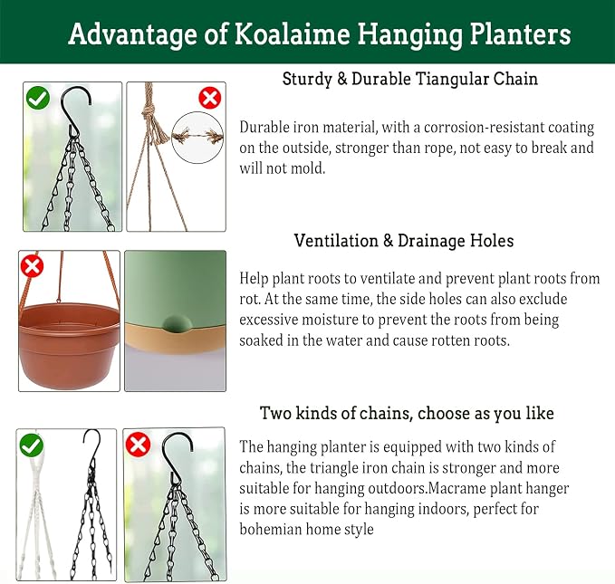 Hanging Planter Self Watering 10 Inch, 2 Pack Indoor Outdoor Hanging Baskets - Image 6