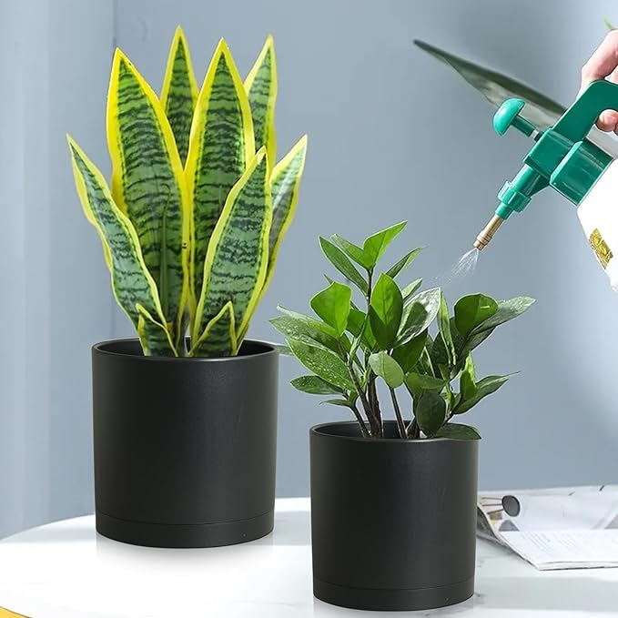 10/8/6 inch Large Deep Plant Pots - Image 5