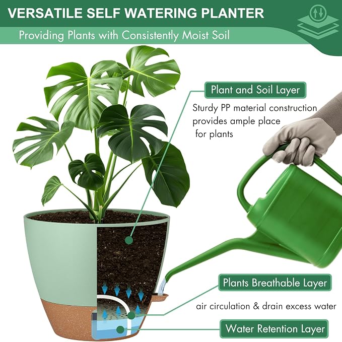 12/10/8 Inch Self Watering Pots - Image 6