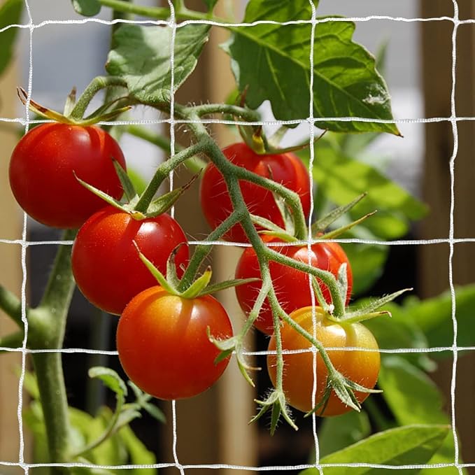 Tcamp Heavy-Duty Polyester Plant Trellis Netting 5 x 15ft - Image 3