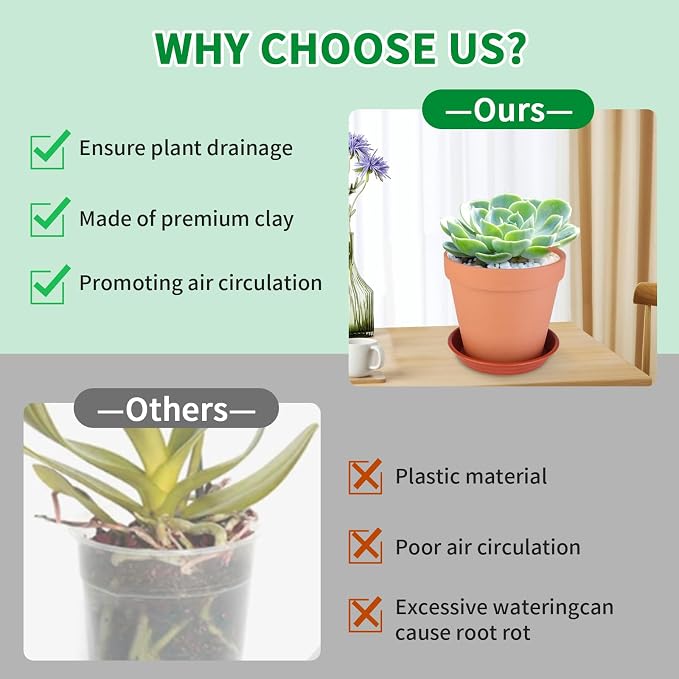6 Pack 6 Inch Terracotta & Clay Pots - Image 3