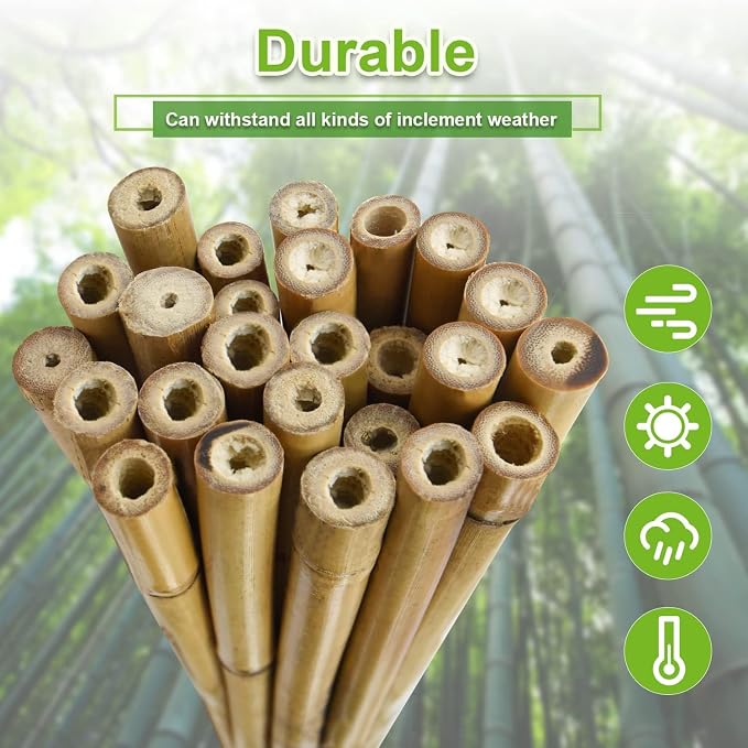 25pcs 7/20" D Thicker Heavy Duty Bamboo Stakes, 3FT Plant Stakes, Natural - Image 4