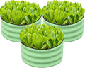 SnugNiture 3 Pcs 2x2x1ft Round Galvanized Raised Garden Bed Kit Outdoor by snugniture