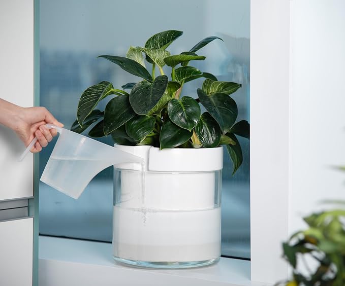 Phoenix Vine 10 Inch Self Watering Planter - Image 2