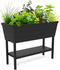 Keter Urban Bloomer 12.7‑Gallon Raised Garden Bed – Elevated Outdoor Planter Box by Keter